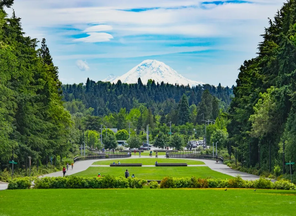 campus green photo