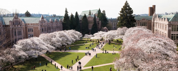 campus photo with cherry trees