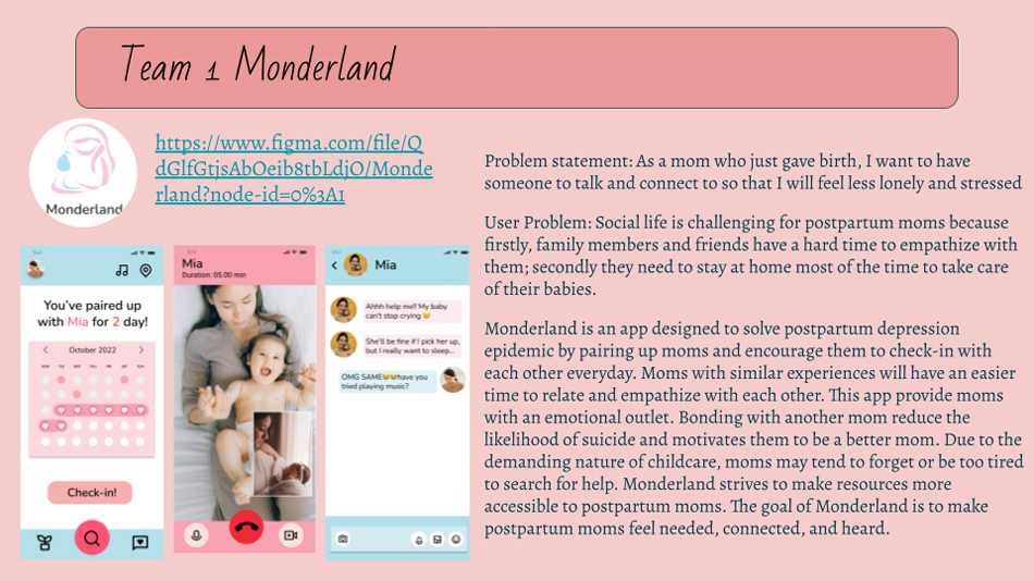 Team 1 Monderland slide from FearLess challenge