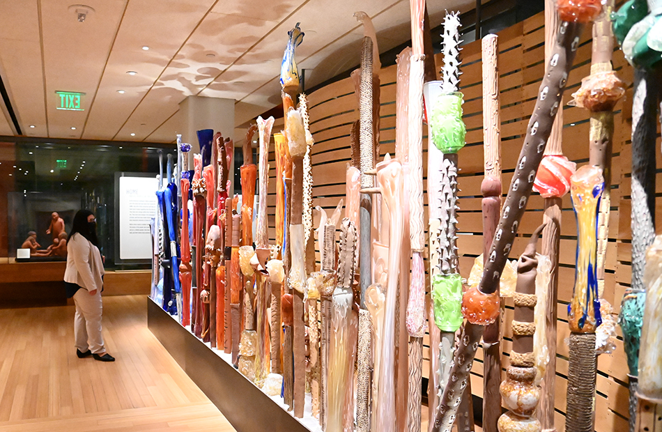 Bishop looks at a display at the Heard Museum in Phoenix, which is dedicated to Native art.