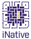 iNative icon
