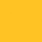 Project Logo